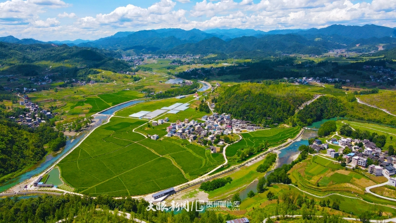 DJI_0556.jpg
