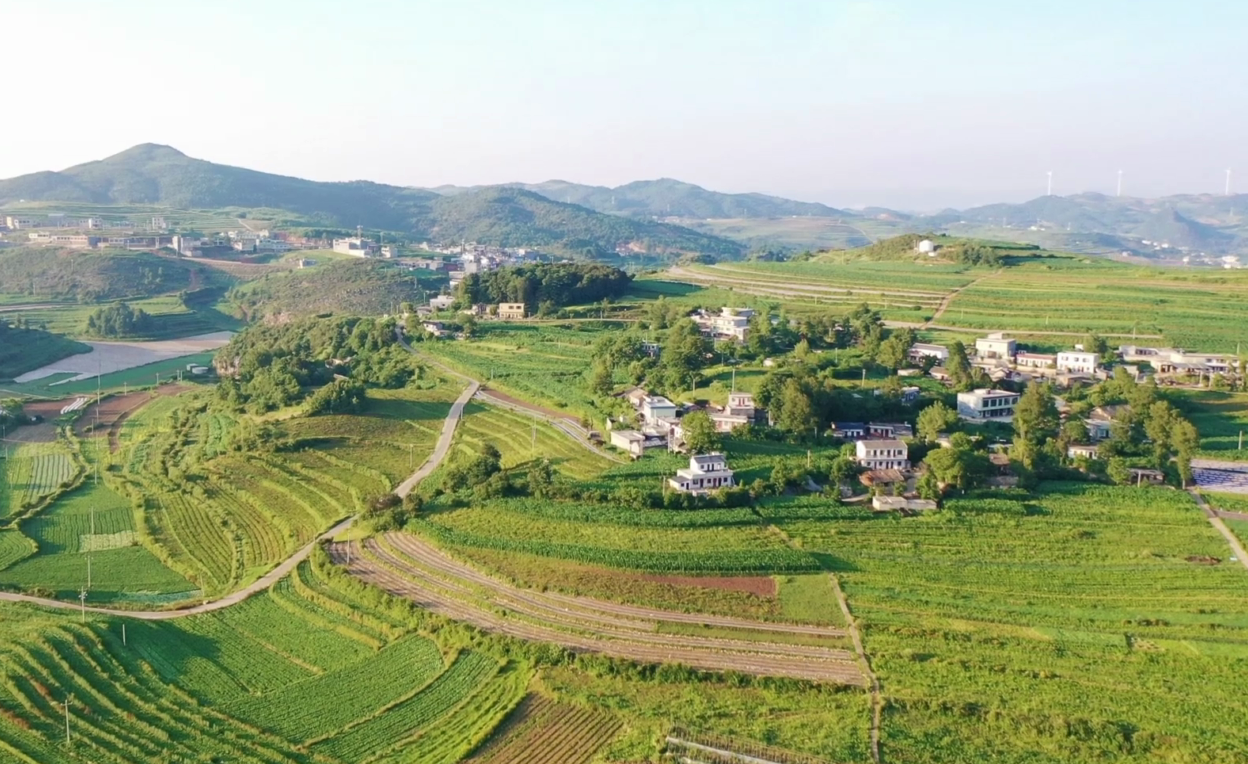微信圖片_20220819105735.png