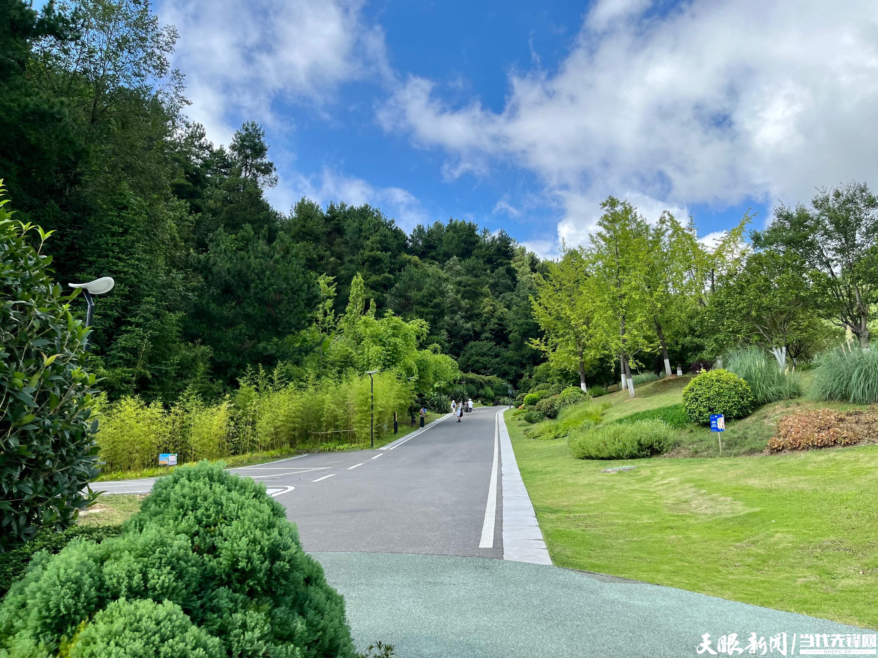 登高云山森林公園.jpg