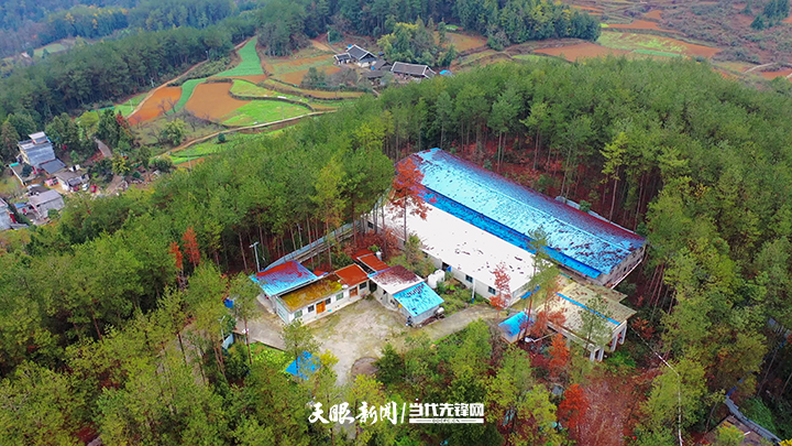 困牛山(4).jpg