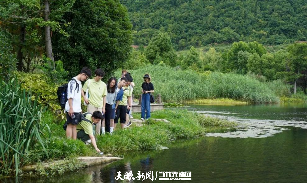 隊員們觀察外來入侵物種福壽螺.png