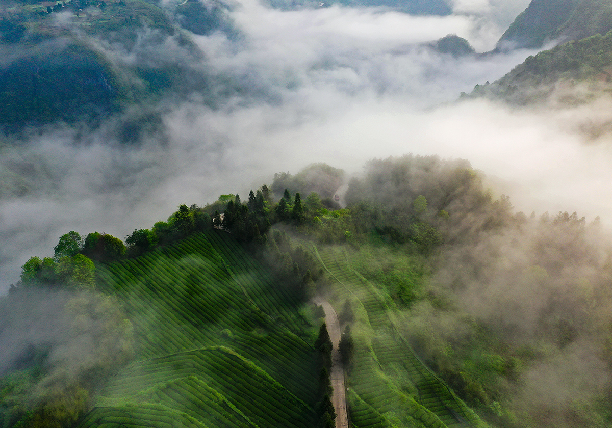 DJI_0687.JPG