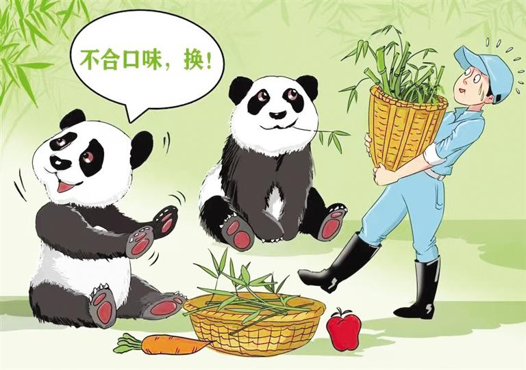 大熊貓.jpg