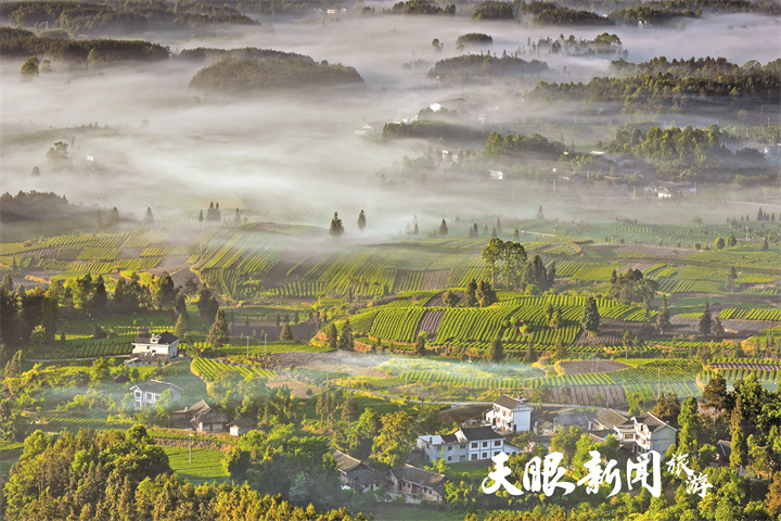 0426旅游圖一.jpg