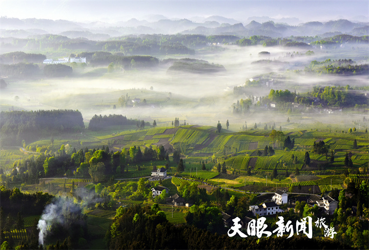 羅逸攝（大圖備選）.jpg