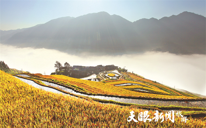 0426加榜圖七.jpg