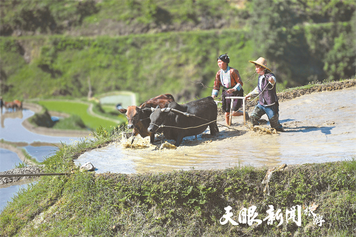 0426加榜圖三.jpg