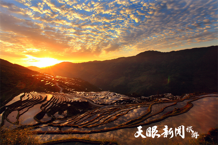 2從江加榜梯田自然美景（莫曉樹攝 (2).jpg