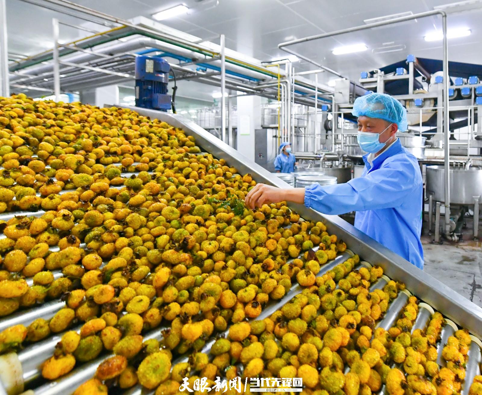 龍里一加工企業(yè)工人在刺梨加工車間忙碌_7957.JPG