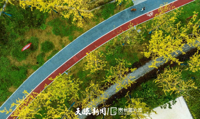 670052-2023年10月26日拍攝的貴州省黔西市杜鵑湖濕地公園秋景。.jpg