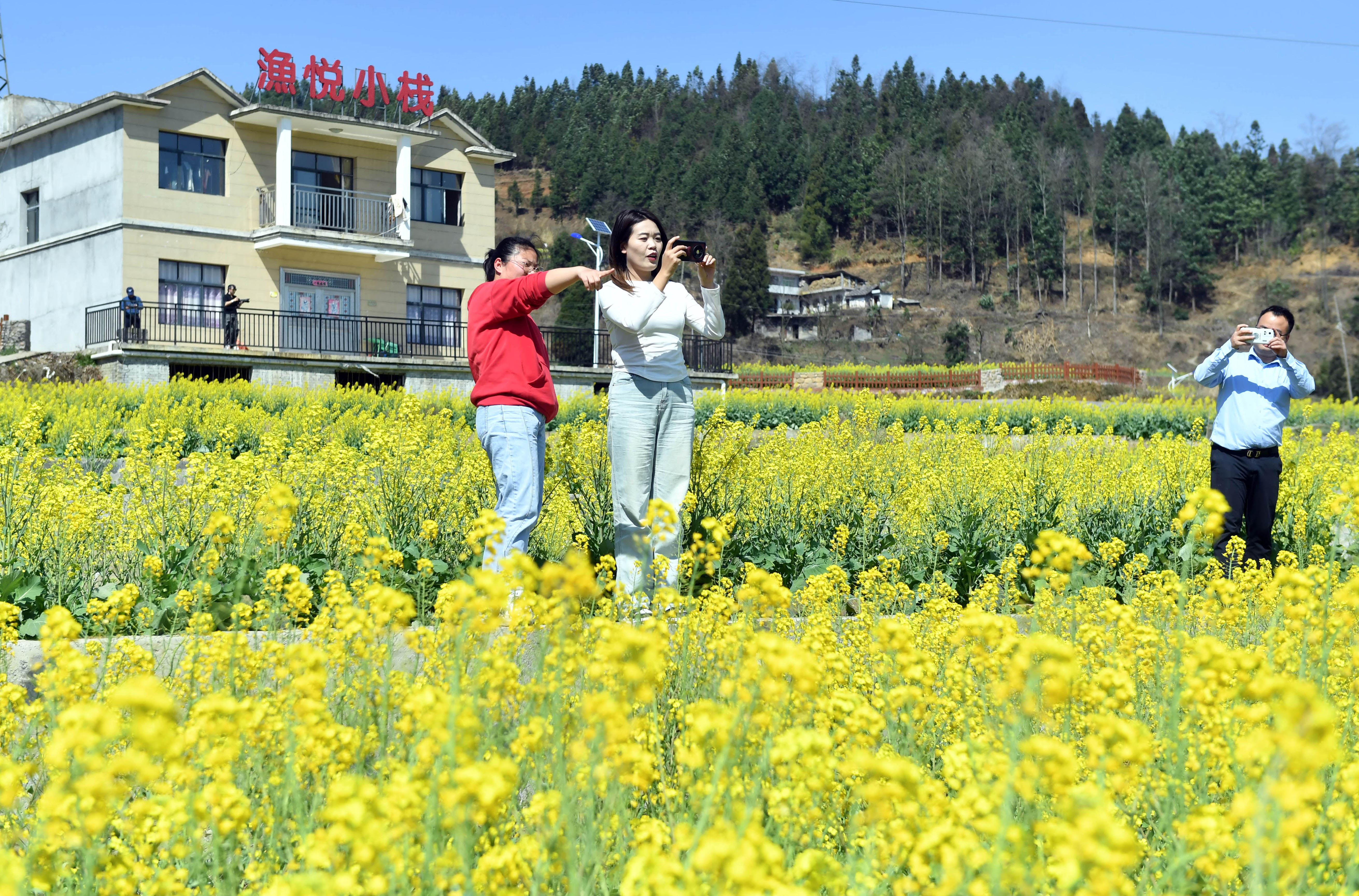 春日里，織金縣牛場鎮(zhèn)后壩村1000余畝油菜花進入盛開期，引來眾多游客前來賞花游玩。貴州日報天眼新聞記者 曠光彪 攝.jpg