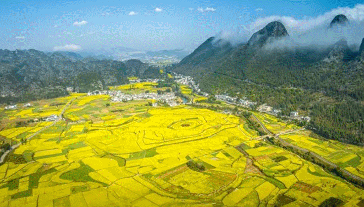 未標(biāo)題-1.gif